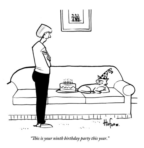 "This is your ninth birthday party this year."