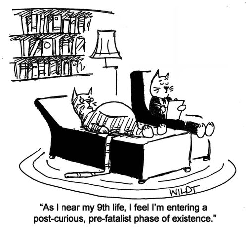 "As I near my 9th life, I feel I’m entering a post-curious, pre-fatalist phase of existence."
