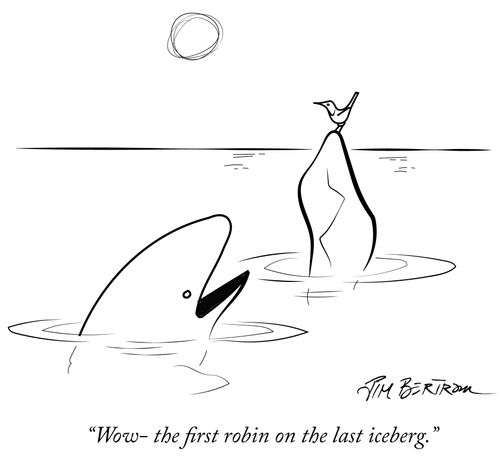 "Wow–the first robin on the last iceberg."