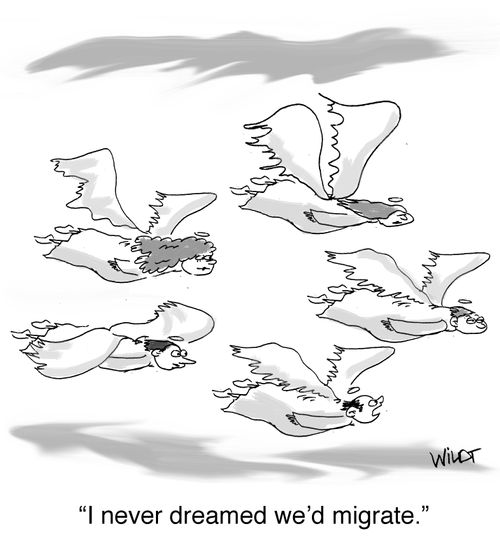 "I never dreamed we'd migrate."