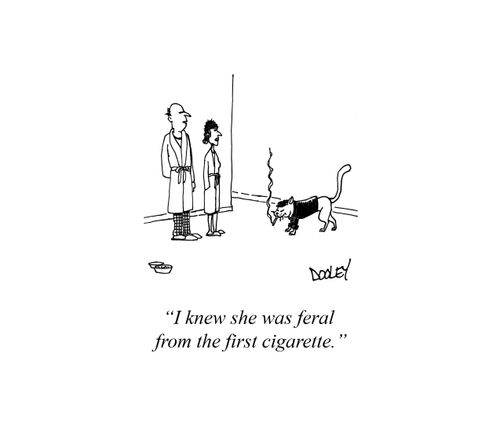 "I knew she was feral from the first cigarette."