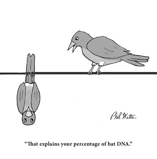 "That explains your percentage of bat DNA."